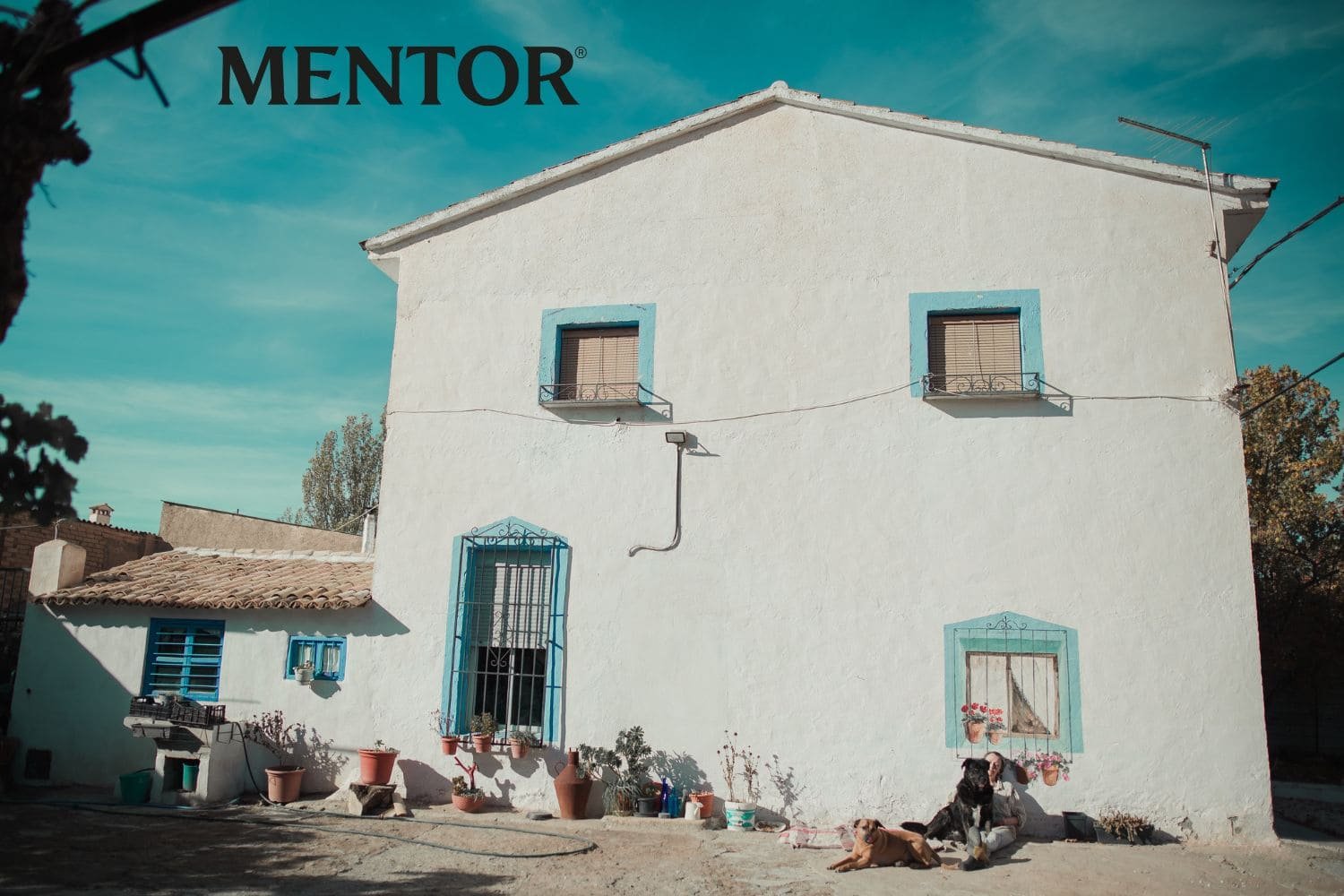 usufructo universal en Cataluña